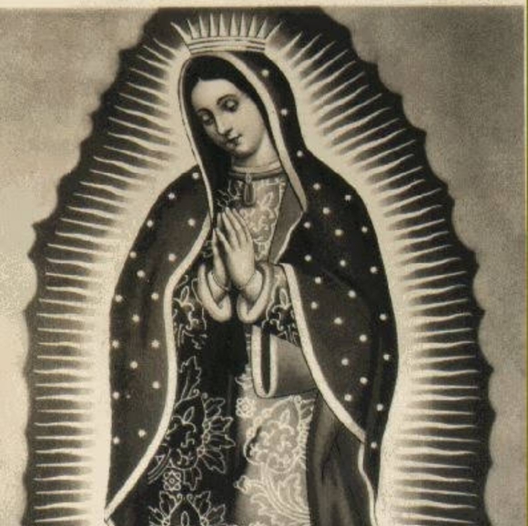 Meet your Posher, Arlet - Picture 1 of 1